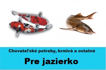 jazierka